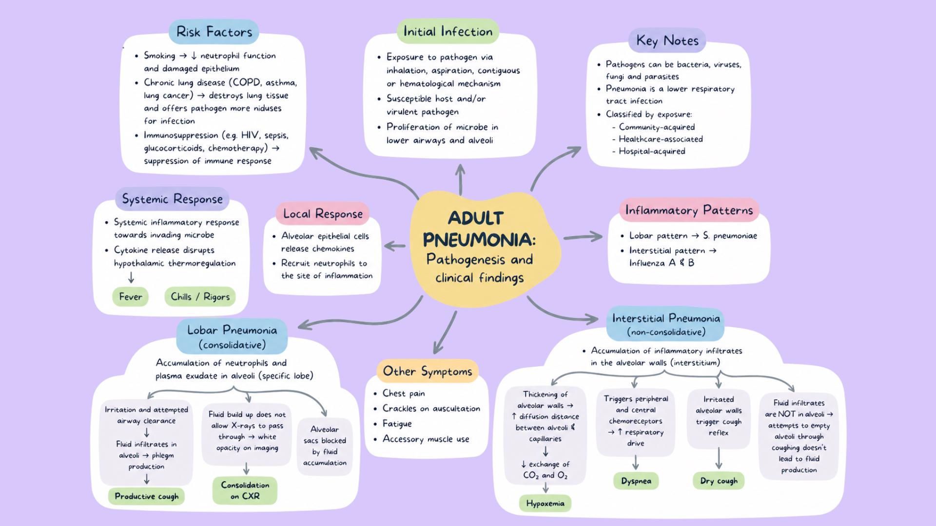 Pathology Map Example Medical Pathophysiology Mind Maps - Etsy