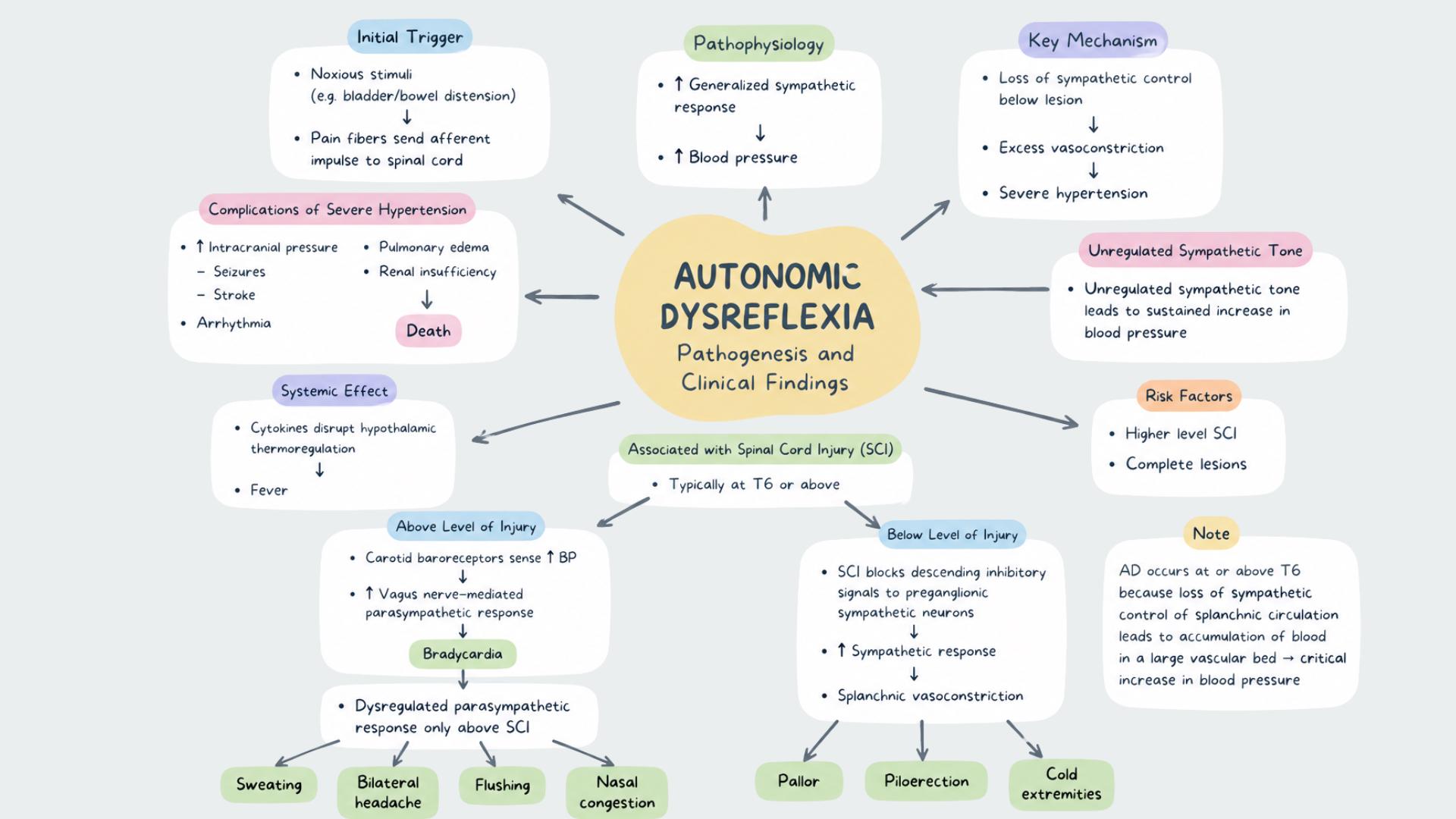 Medical Pathophysiology Mind Maps - Etsy