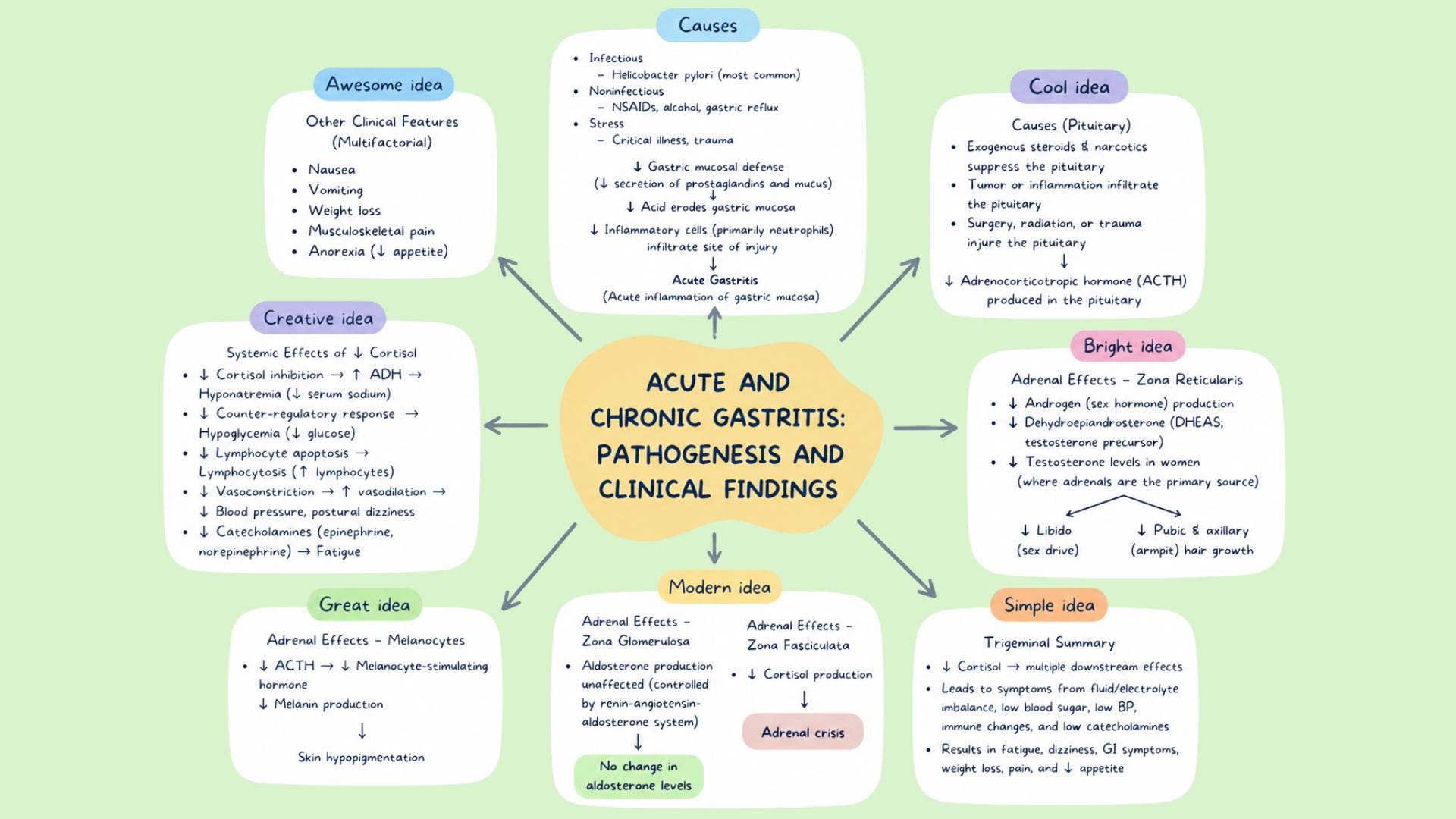 Medical Pathophysiology Mind Maps - Etsy