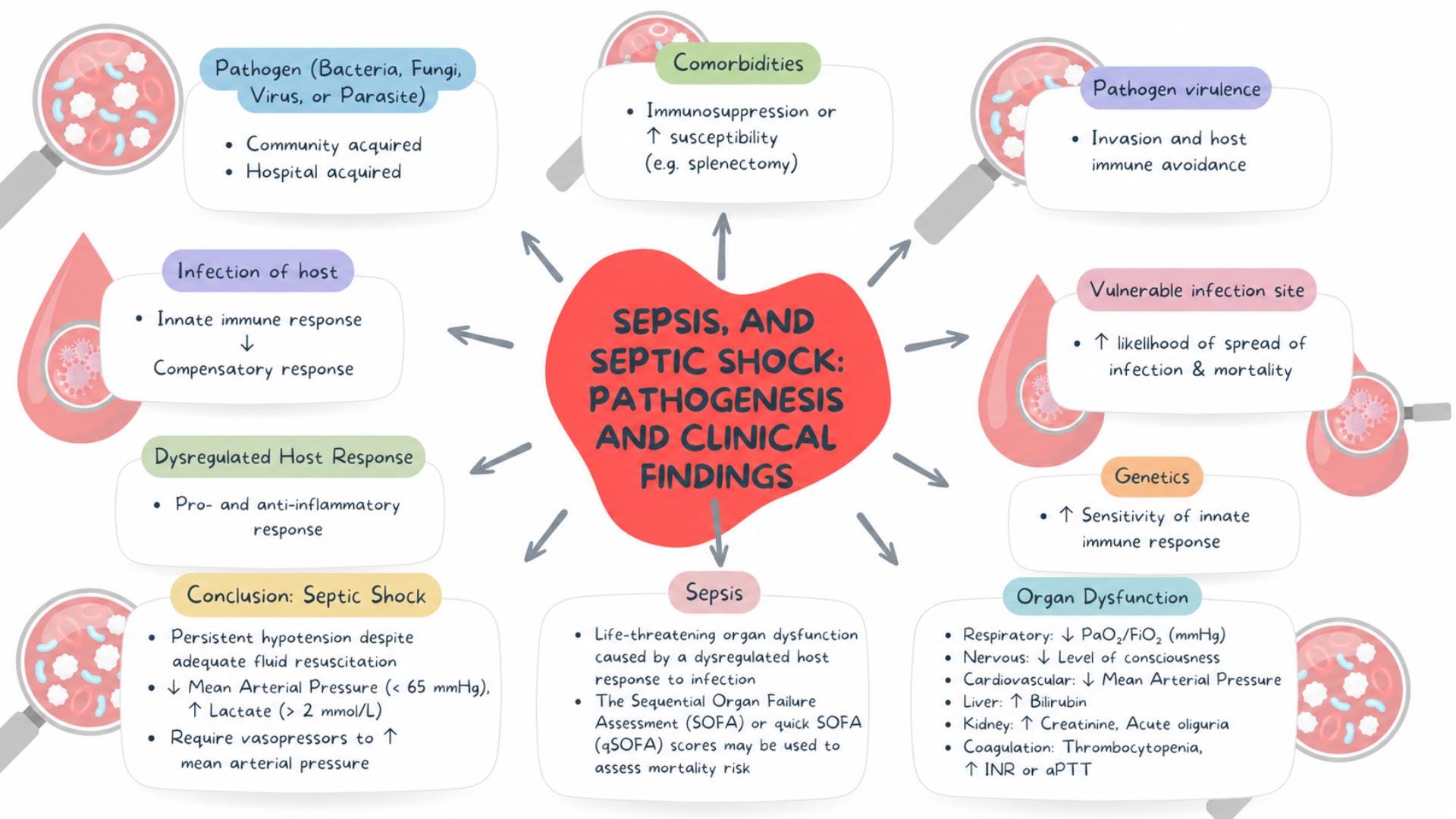 Medical Pathophysiology Mind Maps - Etsy