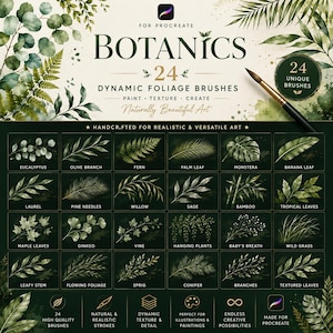 Könnte beinhalten: Ein digitales Pinselset für Procreate mit dem Titel Botanics, das 24 dynamische Laubpinsel enthält. Das Bild zeigt ein Raster aus 24 verschiedenen botanischen Illustrationen wie Eukalyptus, Farn, Monstera und Bambus sowie einen Pinsel.