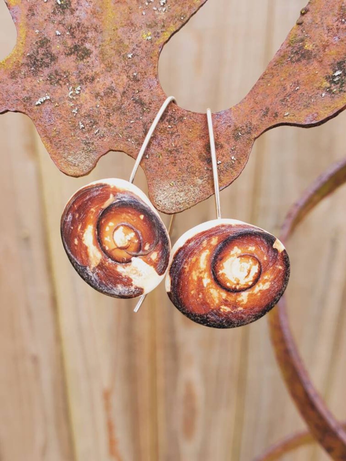 Snail Shell Earrings Minimalist Snail Shell Shiva Shell Etsy