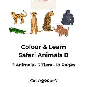 May include: A digital educational resource titled Colour & Learn Safari Animals B by BetterFlow Studio. The cover features illustrations of a leopard, meerkat, gorilla, crocodile, and warthog. It contains 6 animals, 3 tiers, 18 pages, for KS1 ages 5-7.