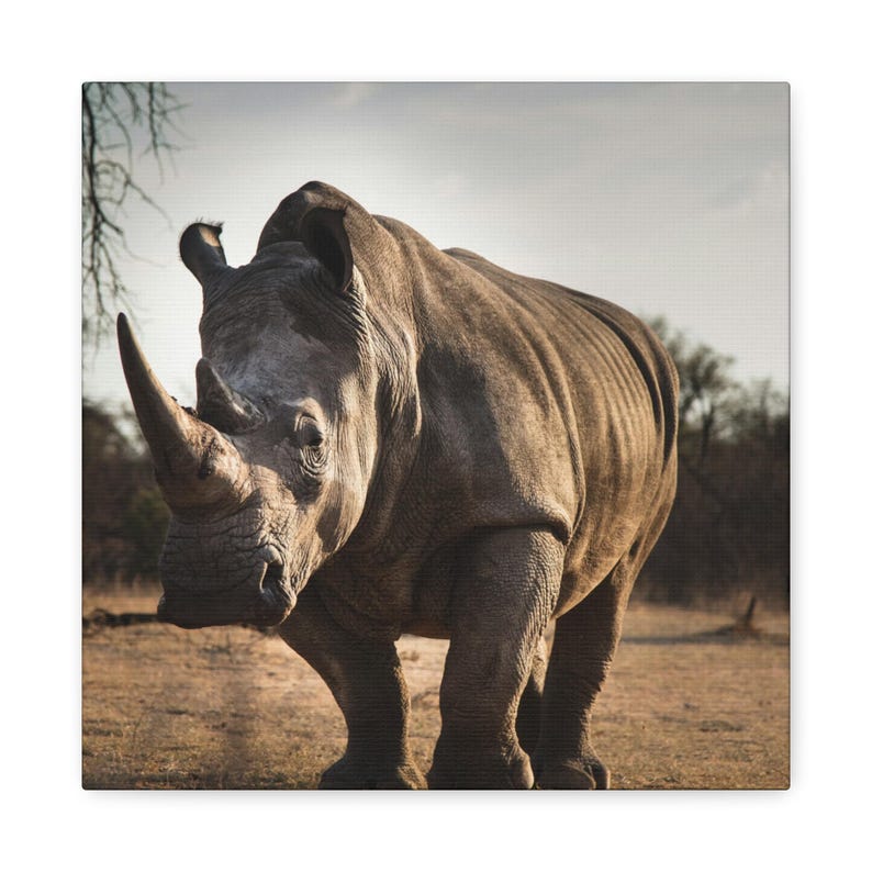 Rhinoceros Canvas Print | African Wildlife Photography, Safari Decor, Nature Wall Art image 7