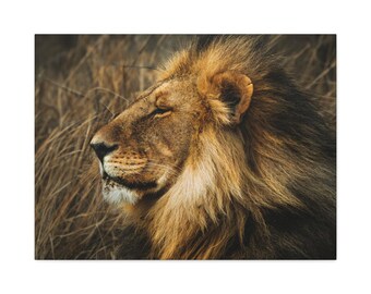Impresión en lienzo de un majestuoso león / Decoración de safari de vida salvaje africana, póster de fotografía de naturaleza
