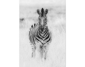 Zebra Canvas Print | Black White African Wildlife Photography, Minimalist Decor