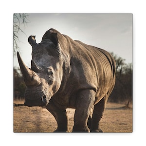 Rhinoceros Canvas Print | African Wildlife Photography, Safari Decor, Nature Wall Art image 1