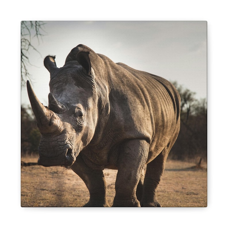 Rhinoceros Canvas Print | African Wildlife Photography, Safari Decor, Nature Wall Art image 1