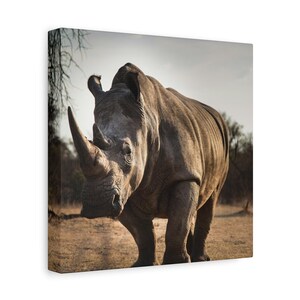 Rhinoceros Canvas Print | African Wildlife Photography, Safari Decor, Nature Wall Art image 3