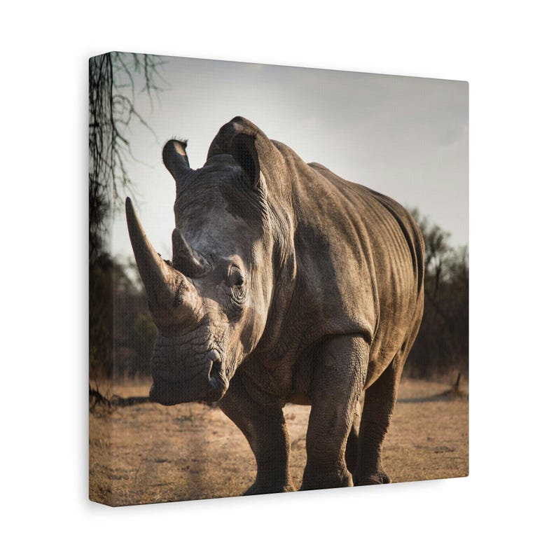Rhinoceros Canvas Print | African Wildlife Photography, Safari Decor, Nature Wall Art image 3