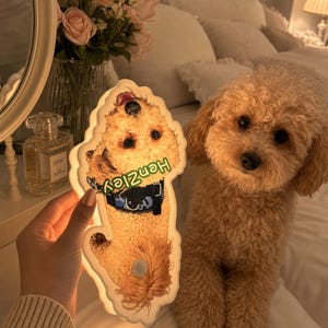 May include: A custom-shaped LED light panel featuring a photographic print of a curly-haired tan dog wearing a blue harness, with the name "Henzley" printed in green text across the center, held up next to a real dog of the same breed.