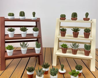 May include: Two three-tiered wooden display stands, one brown and one cream, holding small artificial green succulents in white and terracotta pots. Additional miniature potted succulents are arranged on the surface in front of the stands.