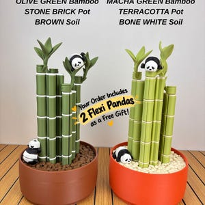 May include: Two decorative bamboo plant sets with panda figures. The left set features olive green bamboo in a stone brick pot with brown soil. The right set has matcha green bamboo in a terracotta pot with bone white soil. Text reads: Your Order Includes 2 Flexi Pandas as a Free Gift!