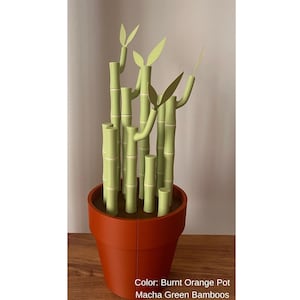 May include: A decorative bamboo plant in a burnt orange pot. The bamboo stalks are a light green color with light green leaves. The pot is a round shape. The text at the bottom of the image says "Color: Burnt Orange Pot Macha Green Bamboos."