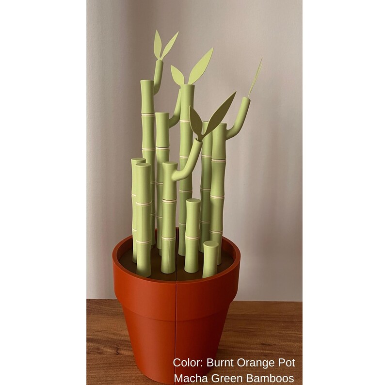 May include: A decorative bamboo plant in a burnt orange pot. The bamboo stalks are a light green color with light green leaves. The pot is a round shape. The text at the bottom of the image says "Color: Burnt Orange Pot Macha Green Bamboos."