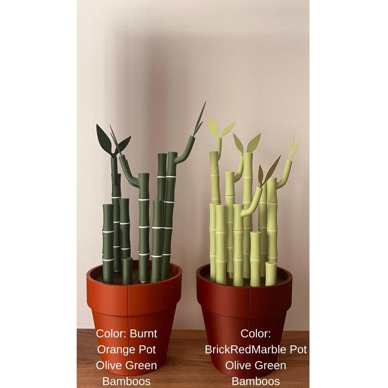 May include: Two decorative bamboo plants in terracotta-colored pots. One features olive green bamboo with black leaves, the other has light green bamboo with yellow-green leaves. The pots are labeled "Burnt Orange" and "BrickRedMarble".