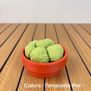 Puede incluir: Una maceta peque&ntilde;a y redonda de color terracota que contiene varios objetos redondeados, texturizados y de color verde claro. El texto "Colors: Terracotta Pot - Macha Green" est&aacute; impreso en la imagen. La maceta tiene un acabado mate y liso.
