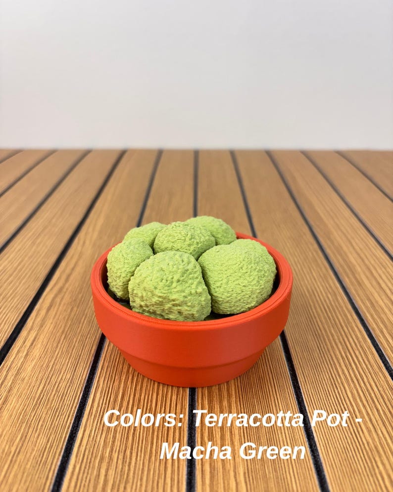 Puede incluir: Una maceta peque&ntilde;a y redonda de color terracota que contiene varios objetos redondeados, texturizados y de color verde claro. El texto "Colors: Terracotta Pot - Macha Green" est&aacute; impreso en la imagen. La maceta tiene un acabado mate y liso.