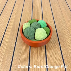 Puede incluir: Una maceta de color naranja quemado que contiene cinco formas verdes texturizadas distintas. La maceta es redonda con un acabado liso, y los elementos verdes en su interior var&iacute;an en tonos desde verde lima claro hasta verde bosque oscuro.