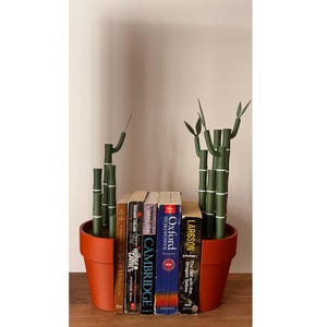 May include: A terracotta-colored pot holds a collection of books and decorative bamboo stalks. The books include titles like "The Hunger Games" and "Oxford Wordpower." The bamboo is green with white accents, adding a natural touch to the display.