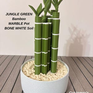 May include: A decorative bamboo plant with jungle green stalks and white segments, set in a round marble pot filled with bone white soil. Text on the image reads: JUNGLE GREEN Bamboo MARBLE Pot BONE WHITE Soil and Customer's Choice!