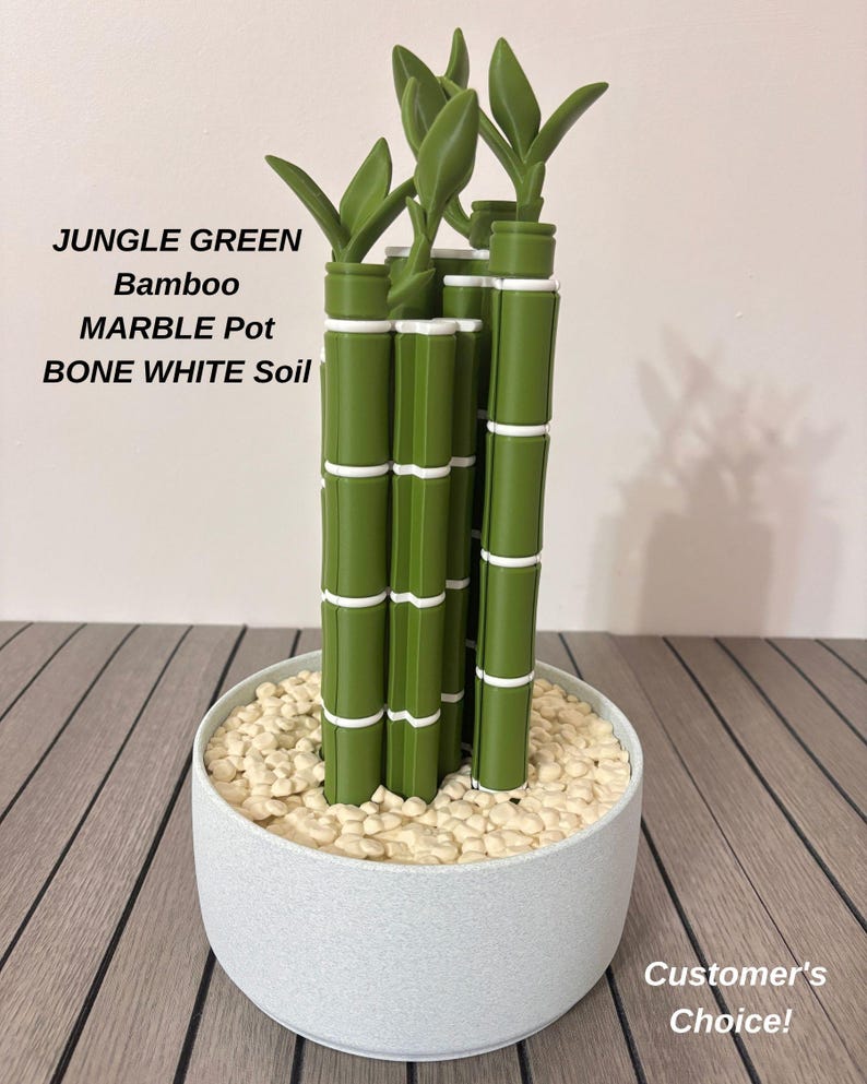 May include: A decorative bamboo plant with jungle green stalks and white segments, set in a round marble pot filled with bone white soil. Text on the image reads: JUNGLE GREEN Bamboo MARBLE Pot BONE WHITE Soil and Customer's Choice!