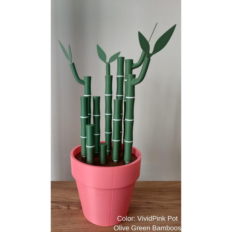 May include: A decorative bamboo plant in a vivid pink pot. The bamboo stalks are olive green with white bands, and the leaves are also green. The plant is displayed on a wooden surface.