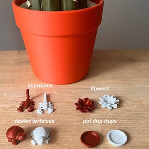 3D Gedrucktes Kaktus Schachspiel, Roll-Up Brett, Botanisches Wohndekor Bild 8