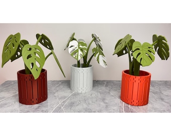Monstera Coaster Gen 2, Faux Albo Plant Decor, 3D Printed Functional Art
