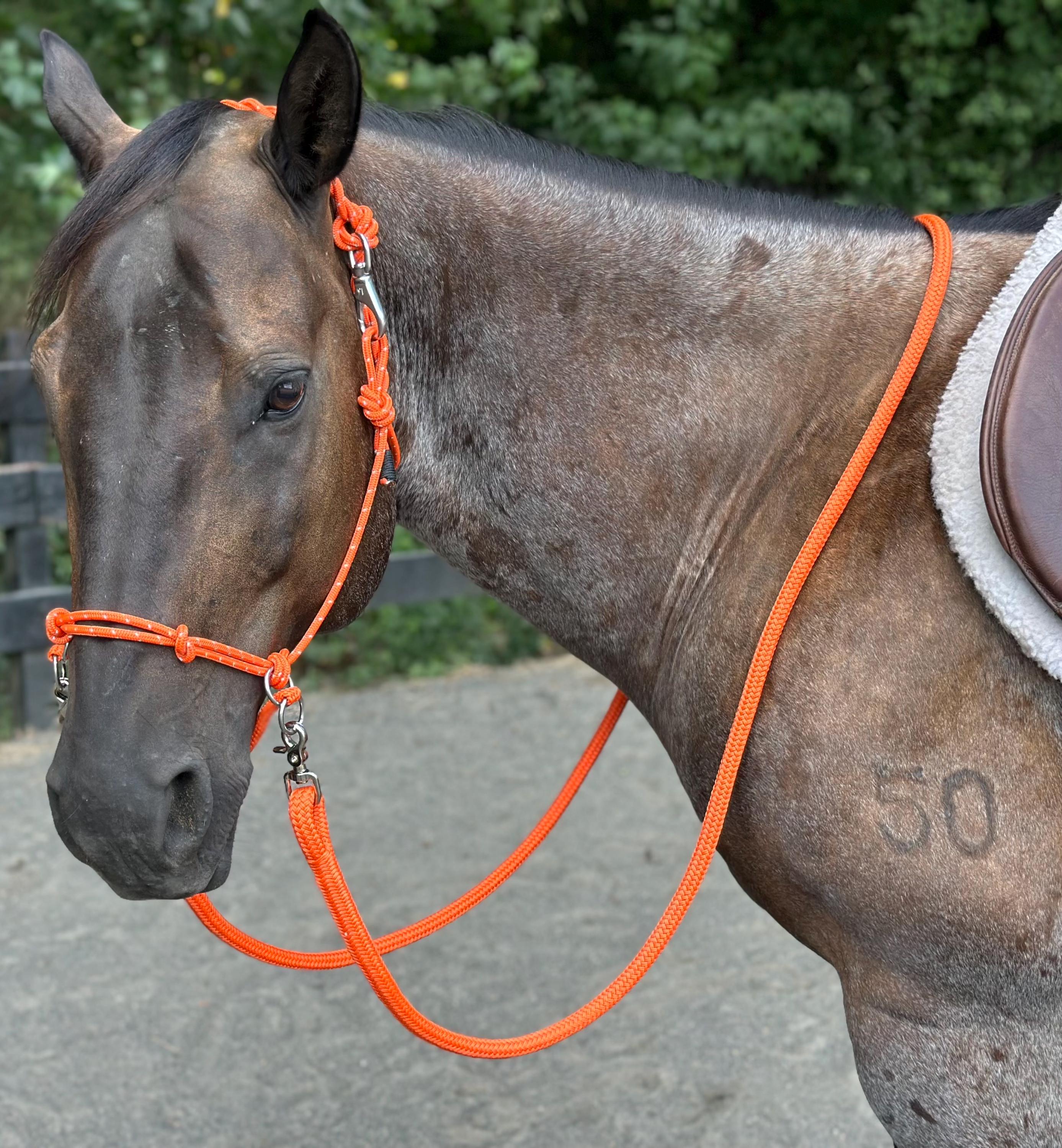 Bitless Rope Bridle/halter - Etsy