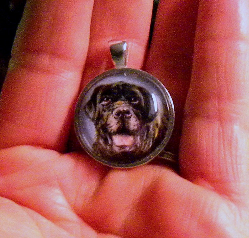 Miniature Painting // Custom Pet Portrait Pendant // Pet Portrait Memorial Jewelry and Keychains // Pet Loss Gift Silverplated Round