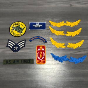 Lotto di toppe vintage dell'aeronautica militare statunitense A-10 Warthog Morale Pilot Training Command Rank