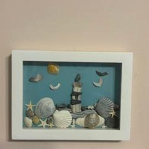 Scene in scatola con conchiglie marine