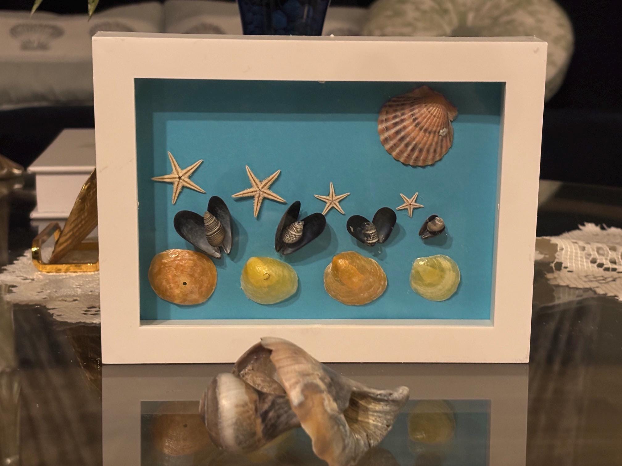 Nautical Shadowbox - Etsy