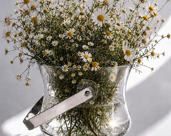 Cubitera de cristal francesa vintage con asa de acero inoxidable, artículos de bar esculturales, enfriador de champán minimalista, decoración con jarrón floral