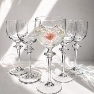 Juego de 5 copas de vino vintage, copas de cóctel de cristal transparente, cristalería minimalista, artículos de bar retro europeos, elegante juego de cristalería