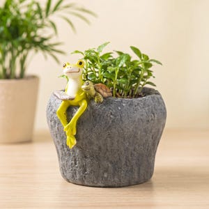 Handmade Frog Turtle Planter, Cute Succulent Pot Small Animal Plant Pot Gift