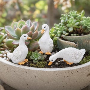 3Pcs White Duck Resin Planter Pot Decor Set, Miniature Succulent Garden Accessory, Modern Farmhouse Plant Lover Home Shelf Styling Gift
