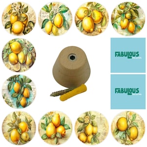 May include: A set of ten circular cabinet knobs featuring various lemon illustrations with green leaves and text, a single light-colored wooden knob with a metal screw and yellow plastic anchor, and two blue squares with the text FABULOUS.