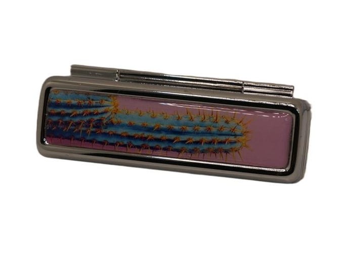 Handmade Lipstick Holder Lipstick Container Lipstick Holder with Mirror Blue and Pink Cactus