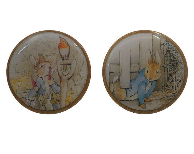 Peter Rabbit Wooden Wall Hooks, Resin Finish, Nursery Decor