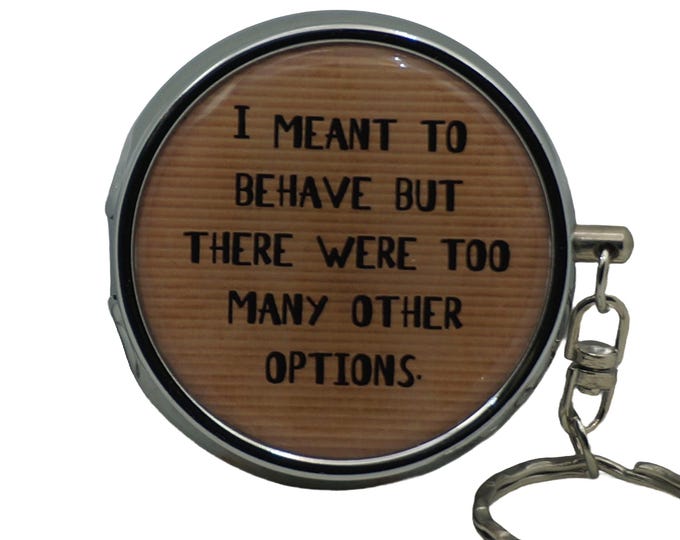 I Meant To Behave, But There Were Too....., Portable Ashtray, Personal Stainless Steel Ashtray, Pocket Ashtray, Key Ring Ashtray
