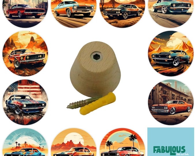 American Muscle Cars Wall Hooks, Wall Art