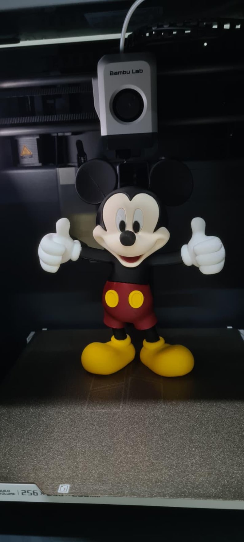 May include: A 3D printed Mickey Mouse figurine with black ears, a cream face, red shorts with two yellow buttons, and yellow shoes, standing inside a Bambu Lab printer with a camera unit above and a build volume label reading 256.