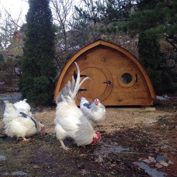 Lightfoot Hobbit Hole Chicken Coop for up to 6 birds; cedar and pine construction, ventilation windows