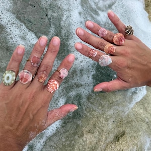 May include: A collection of ten rings featuring various natural seashells in shades of pink, white, and tan, with one ring displaying a circular green and white patterned shell and another featuring a metallic, multi-pronged star-shaped design.