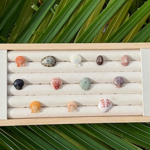 May include: A rectangular wooden jewellery display tray with a beige velvet insert featuring five horizontal slots. Twelve rings are arranged in the slots, each topped with a unique natural seashell in various colours including orange, white, brown, and grey.