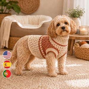 Könnte beinhalten: Ein hellbrauner Hund mit welligem Fell trägt einen gehäkelten Pullover. Der Pullover hat einen hohen Kragen und ein strukturiertes Muster in abwechselnden Streifen aus Creme und Terrakotta-Orange, das den Rumpf und Brustbereich bedeckt.