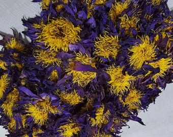 Dried Blue Lotus Flowers | Natural Nymphaea Caerulea for Herbal Tea, Meditation, Spiritual Use