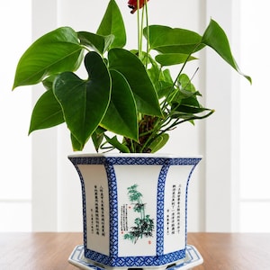 Maceta hexagonal vintage de porcelana china azul y blanca con bandeja a juego / Maceta estilo chinoiserie / 6" x 7"